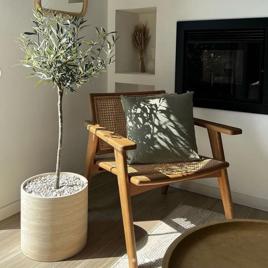 Doğal Hazeranlı Ahşap Berjer - Soho 500